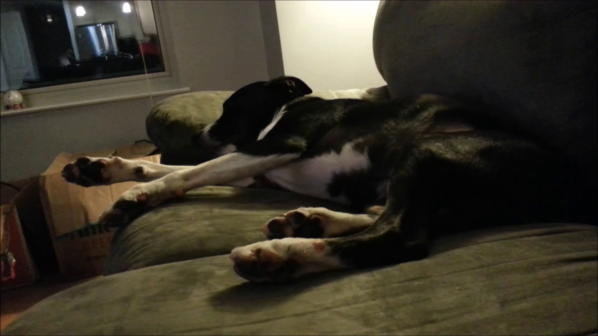Sleeping Lewis